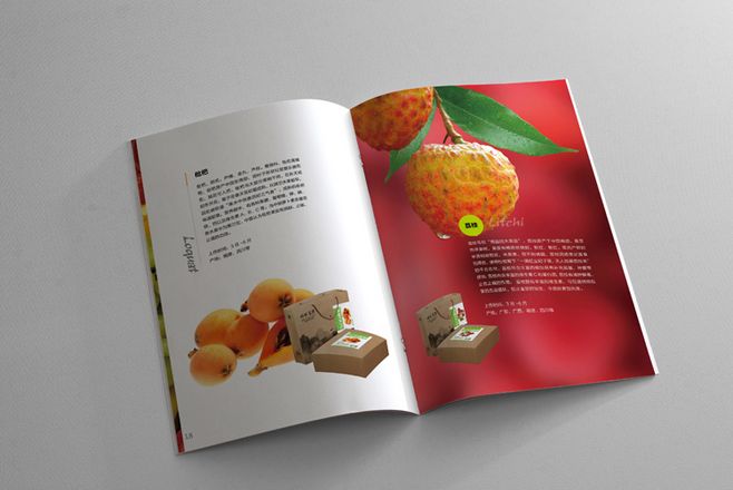 宣傳冊設計一般一頁多少錢？宣傳冊的特點有哪些？