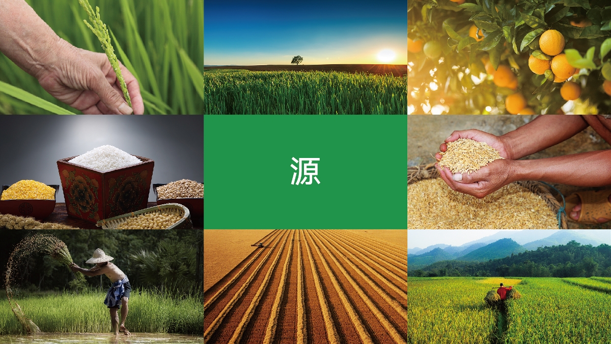農(nóng)產(chǎn)品品牌設(shè)計(jì)技巧有哪些？怎樣塑造品牌形象