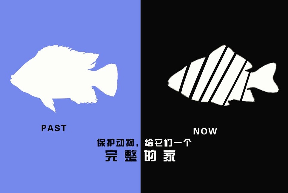 廣告設計制作有哪些要求？有哪些注意事項？