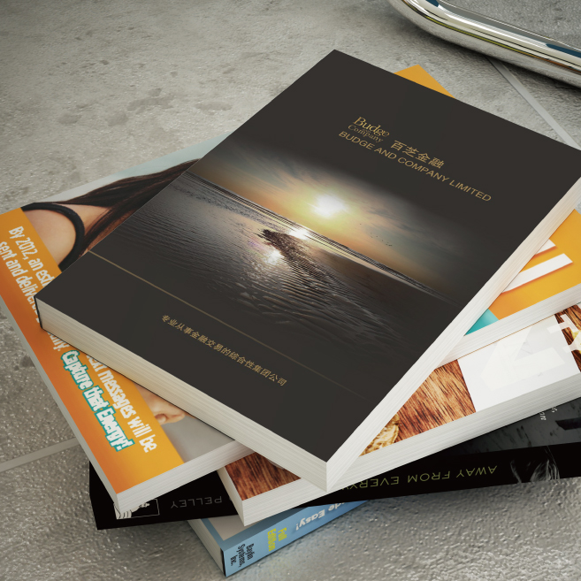 設(shè)計一P 多少費用？設(shè)計一本畫冊設(shè)計費用是多少錢？廣州做一本畫冊需要多少錢？