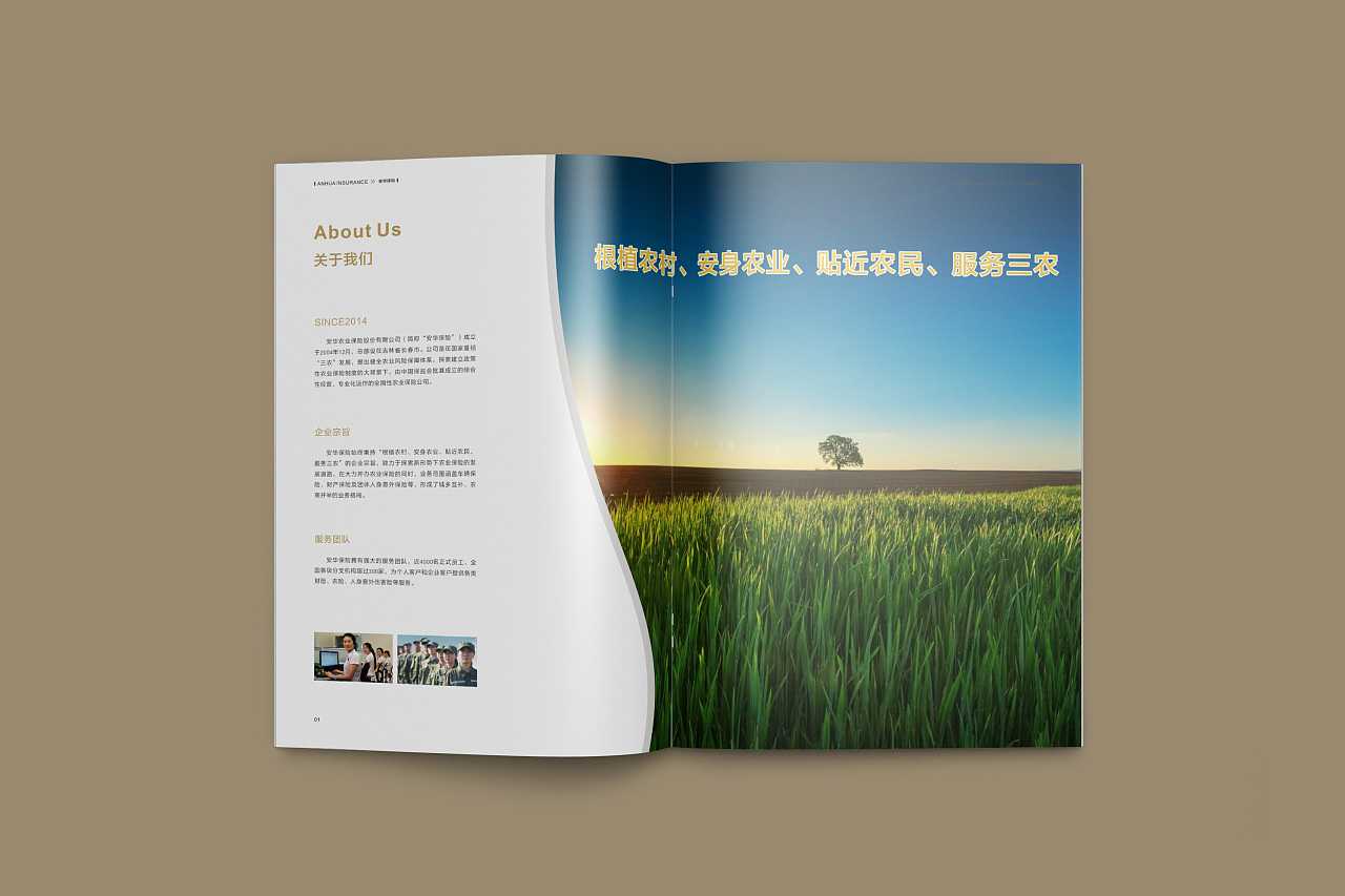 成都企業(yè)為什么要選擇高端宣傳冊設(shè)計公司呢？